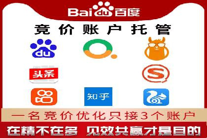揭秘SEM竞价托管：实战案例深度解析